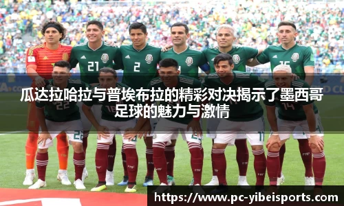易倍体育官网